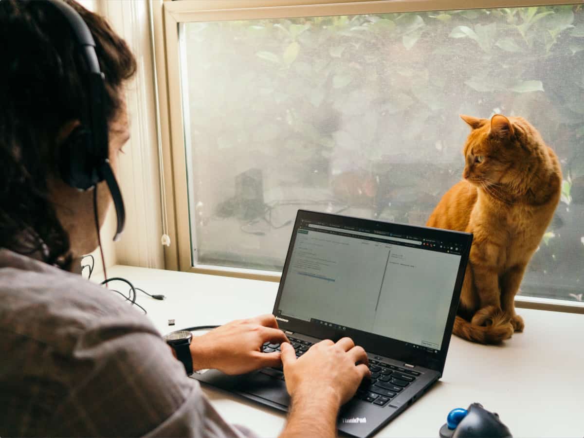 Remote Interview Resources, Karat Venture, and Hiring Analytics Dashboard image