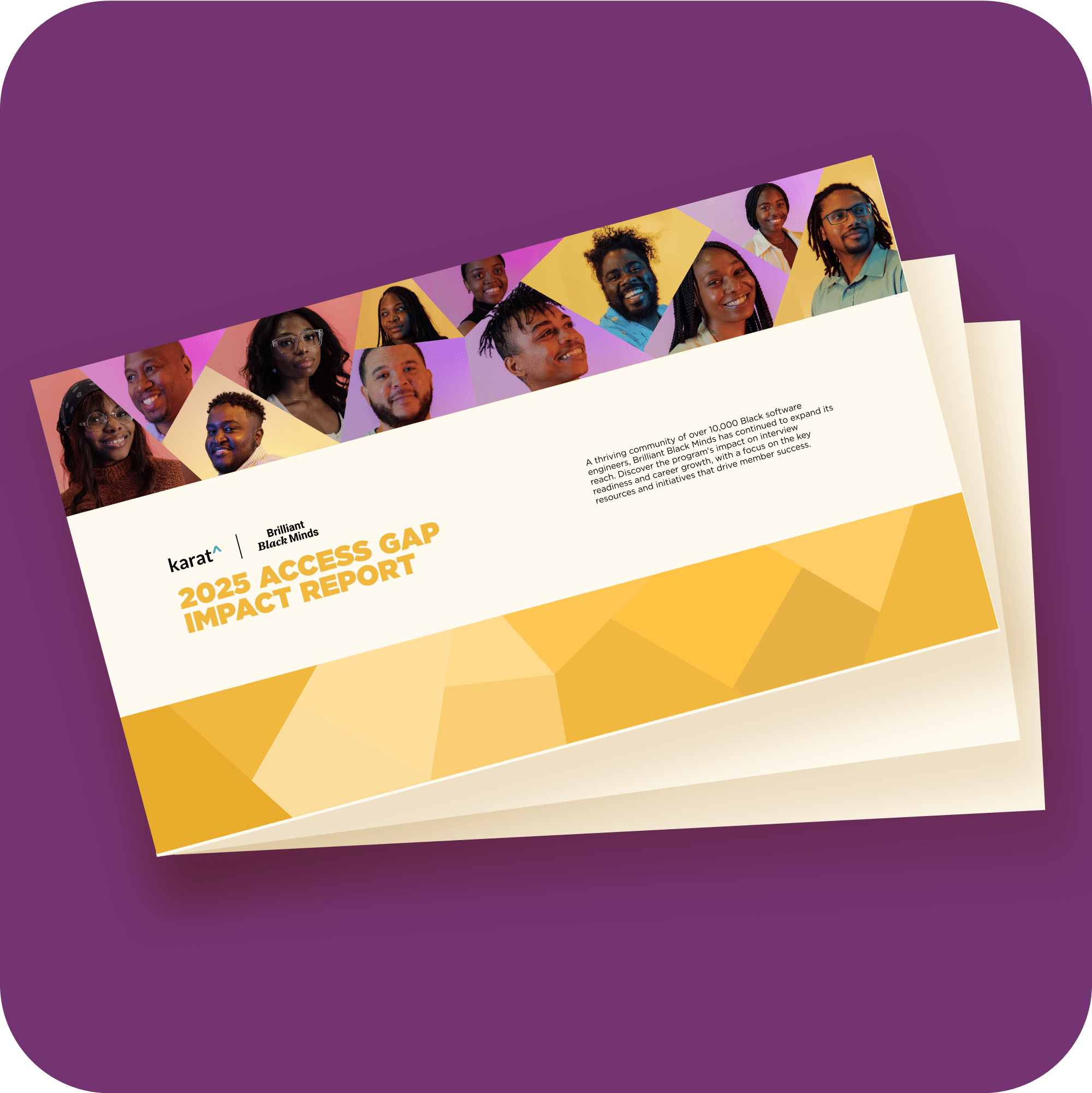 Brilliant Black Minds 2025 Access Gap Impact Report image